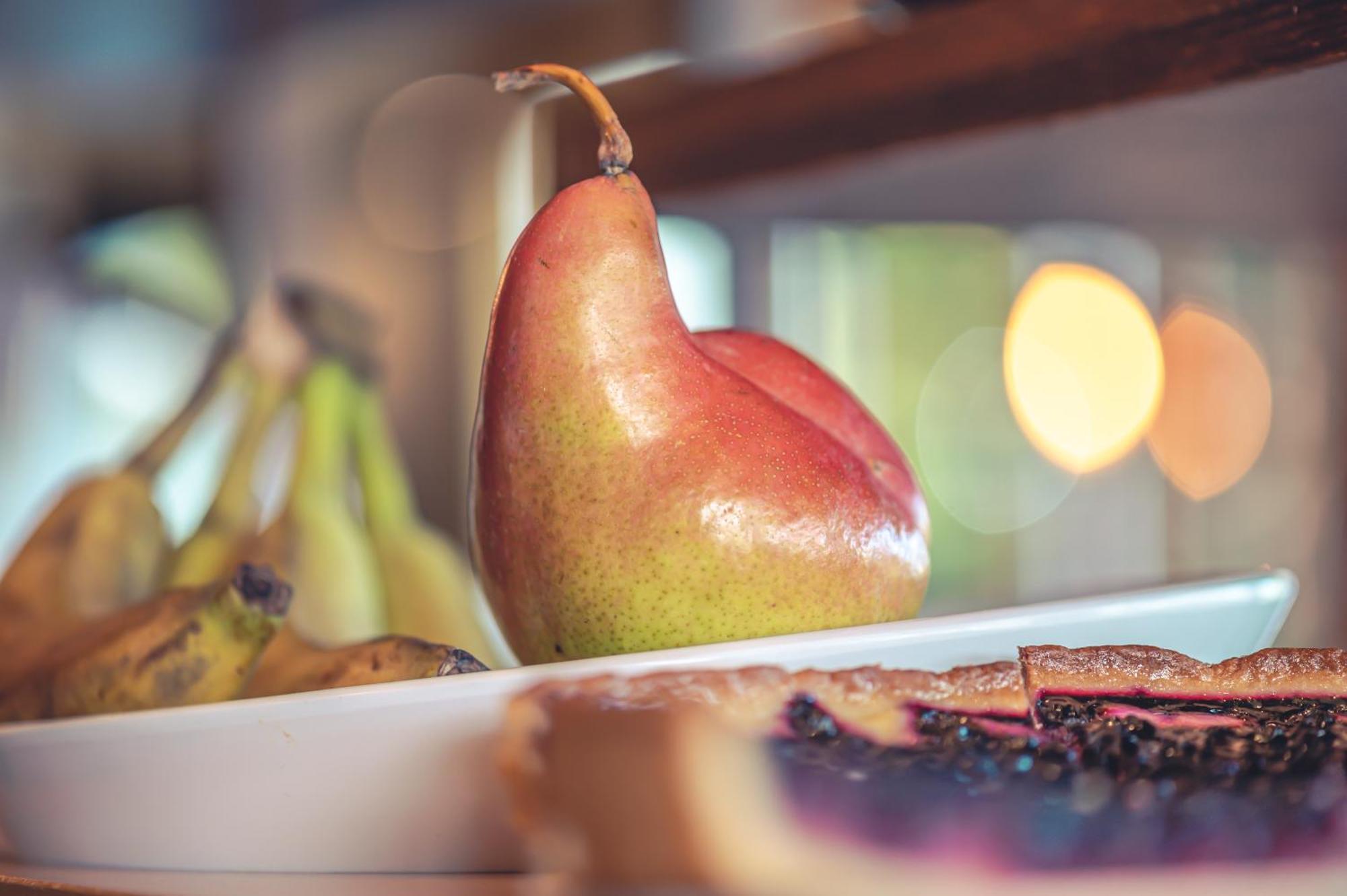Logis Hotel Restaurant Le Plantevin Propiac 외부 사진